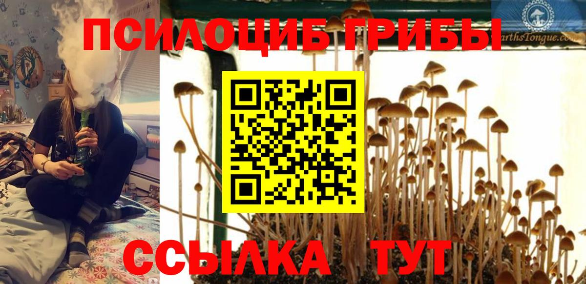 Галлюциногенные грибы Cubensis Саяногорск