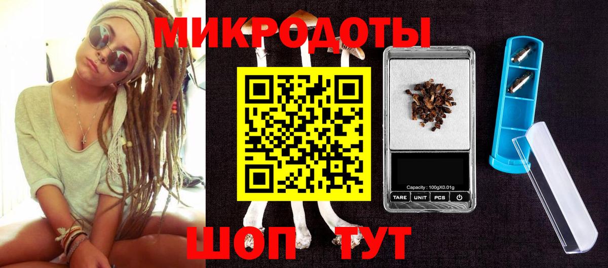 Саяногорск  Галлюциногенные грибы Psilocybe  Вход с VPN 